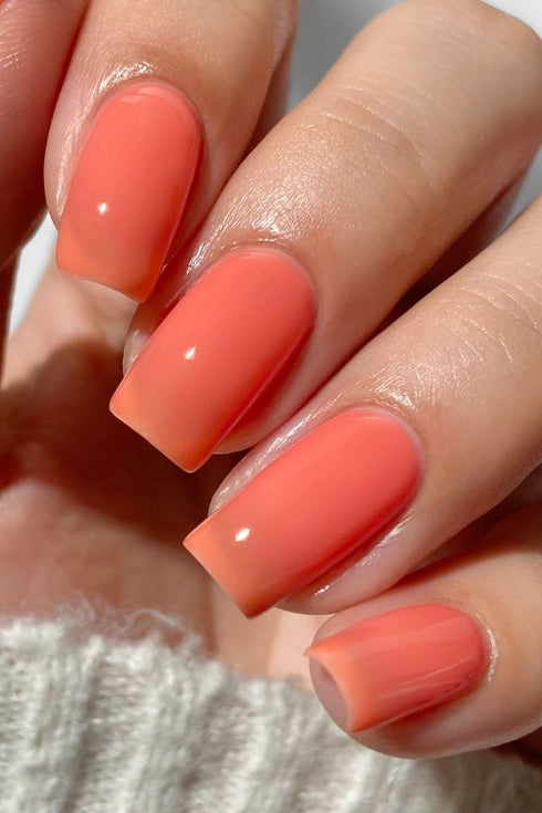 SHERBET JELLY NAIL POLISH